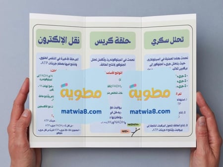 مطوية الطاقة الخلوية-٢ث