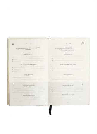 The five minute journal