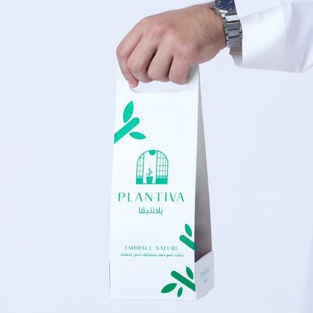 توزيعات بلانتيفا نبتة بوتس مركن زجاجي