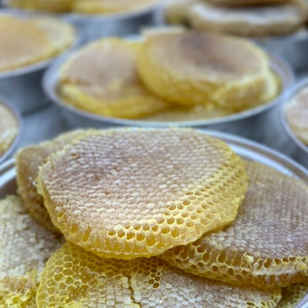 عرض الطلح ( 2 كيلو شمع الطلح ) + ( 1 كيلو عسل الطلح)