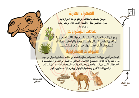 مطوية أنواع الصحاري - ثاني ابتدائي ف 1