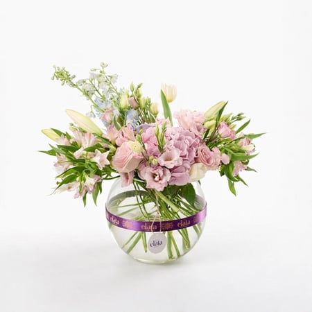 فازة دائرة القمر