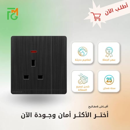 فيش MZ2 مع مفتاح ولمبة