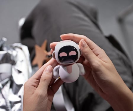 روبوت إيليكو وردي -Eiliko Robot