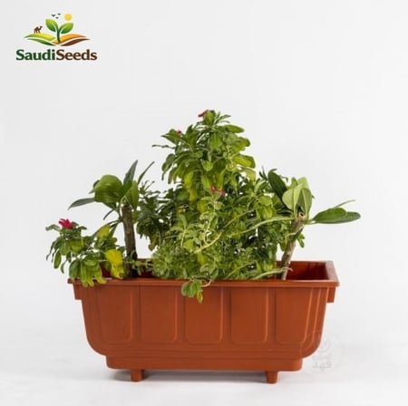 مركن مستطيل 60 سم Rectangular Garden Planter 60 cm