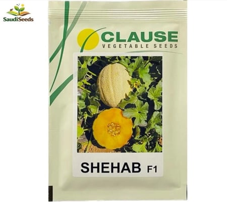 بذور شمام شهاب 1000 بذرة Shehab F1 Melon seeds