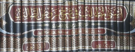 اسنى المطالب في شرح روض الطالب 20/1