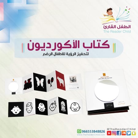 كتاب الأكورديون