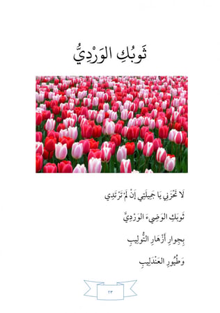 ديوان كبرياء ريشتي