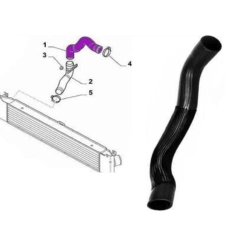 هوز تيربو دوكاتو تجاري