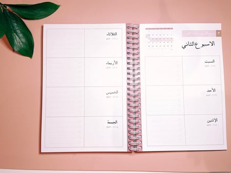 بوكس أجندة 1445