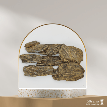 عود كلمنتان ماليزي  من عود بن منقاش