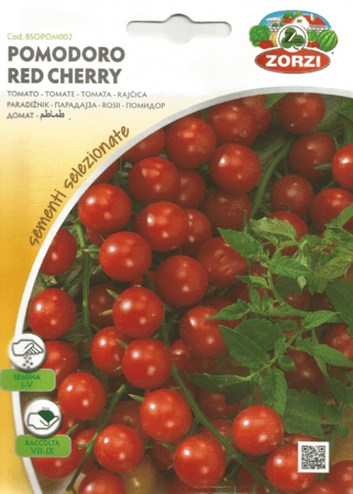 طماطم كرزية  Cherry Tomato