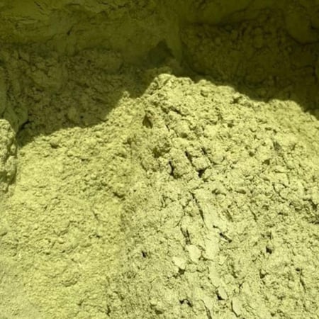 سدر عضوي صافي ( المدينه المنوره)