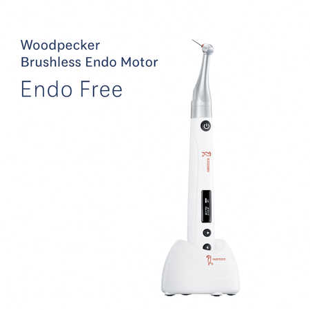 Endo Free Cordless Endodontic Motor