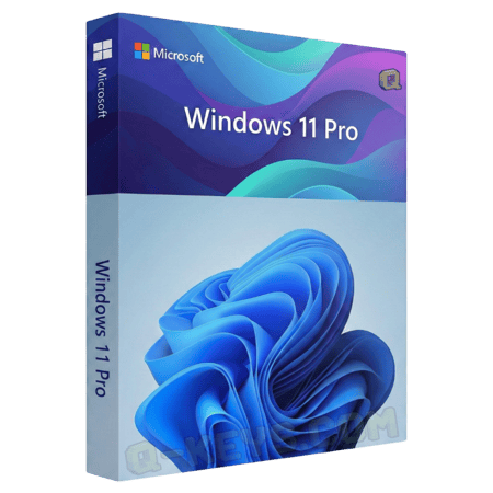 ويندوز 11 برو