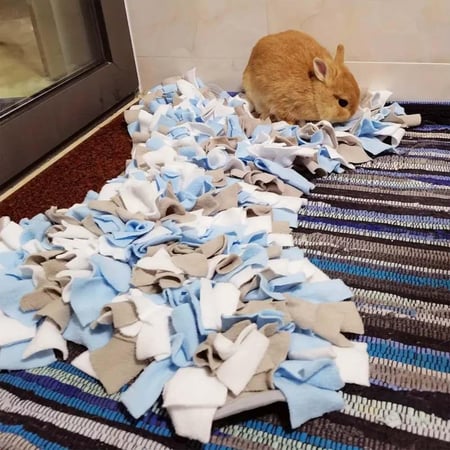 فرشة للحيوانات الأليفة على شكل عظمة