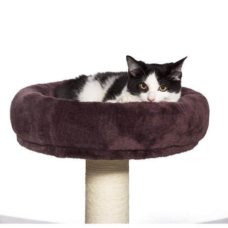 بريفيو بيت كيتي كينج سرير و خداشه و كوخ