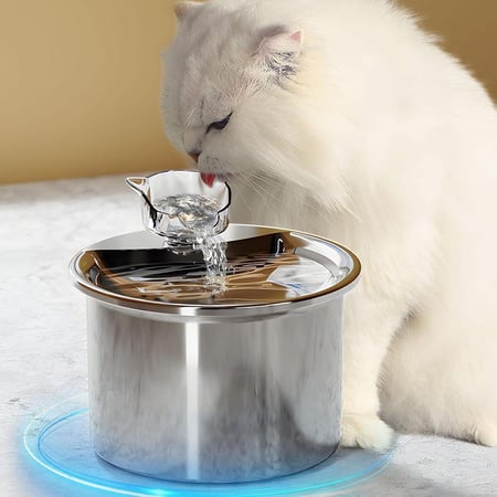 نافورة مياه على شكل قطة للحيوانات الأليفة من الفولاذ المقاوم للصدأ بسعة 2 لتر