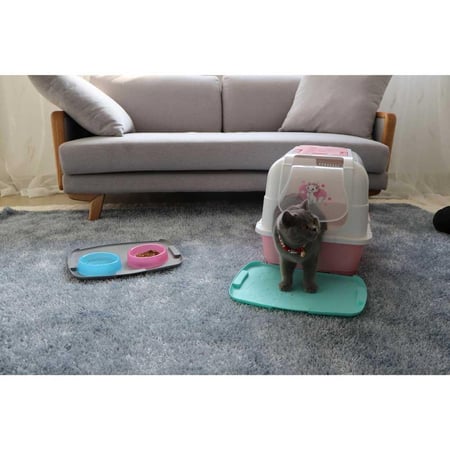 صحن رمل للقطط مغلق برسمة لولو كاتي