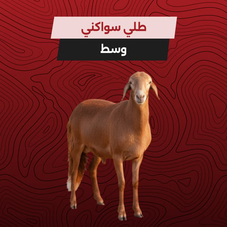 طلي سواكني - وسط