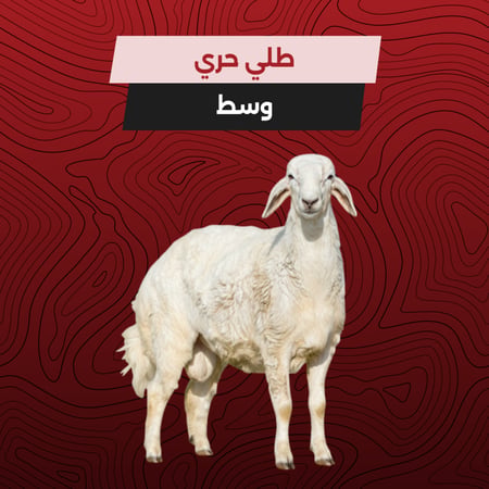 طلي حري - وسط