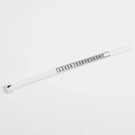 حلقة القياس