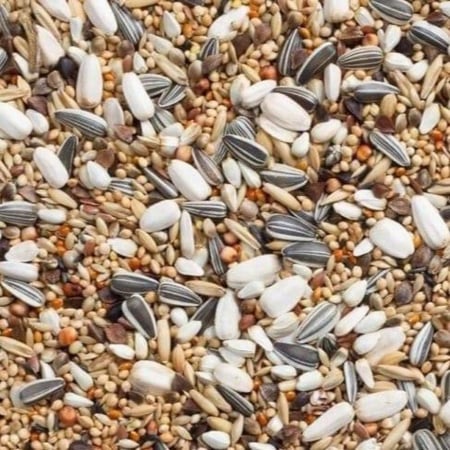 اكل روز وكوكتيل بدون فيتامين من شركة ديلي نيتشر 20 كيلو