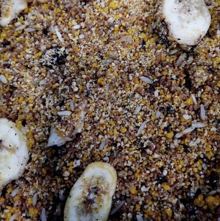 باتية غني بالفاكهة للببغاء من شركة فلاي 4k