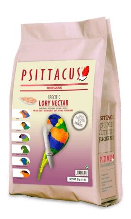 لوري نكتار من سيتاكوس psittacus  حجم (1) كيلو