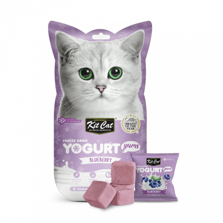 Kit Cat Yogurt مكافأة مجففة للقطط بالتوت 10*10 جرام