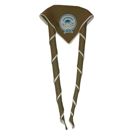 منديل كشافة التعليم متقدم المرحلة الثانوية