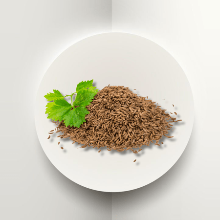 كراوية مصرية حب