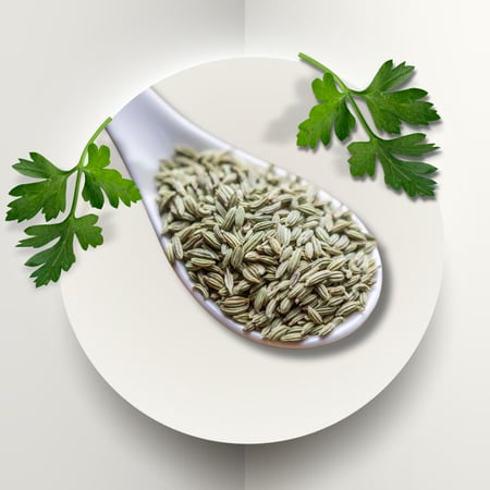 بذور البقدونس