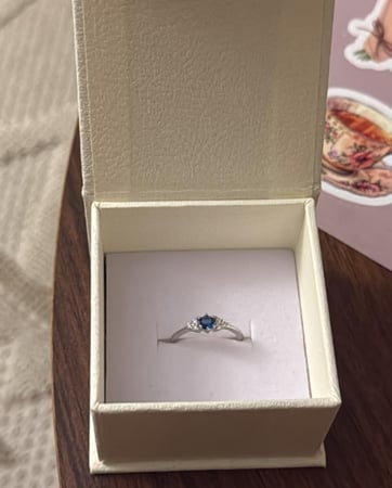 تنسيق KARTZ كيس ورد صناعي ألوان البيج مع خاتم فضه عيار 925