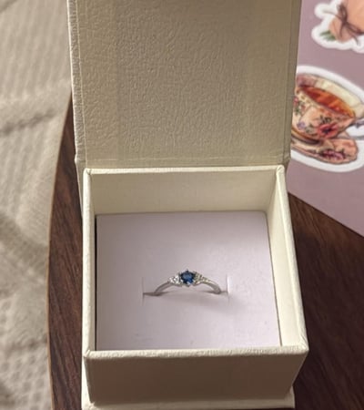 كيس KARTZ ورد صناعي أحمر مع خاتم فضه عيار 925