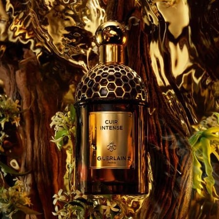 تستر عطر كيور انتنس اودي بارفيوم 125 مل