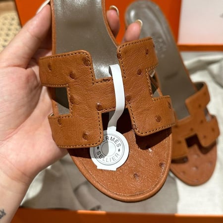 oran صندل Ostrich