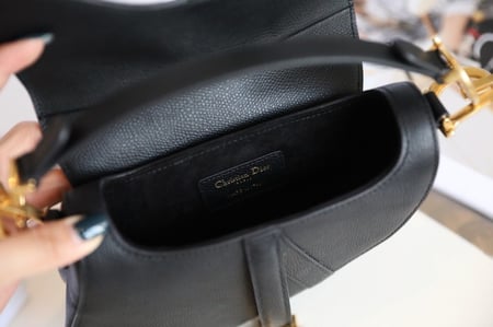 Dior saddle