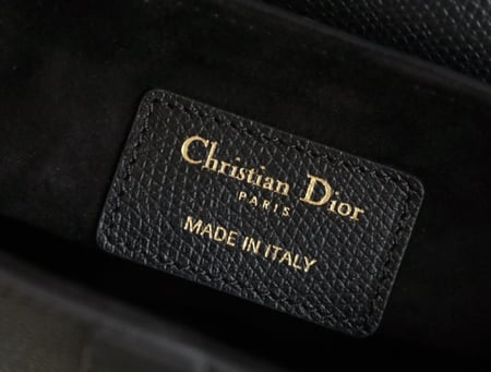 Dior saddle