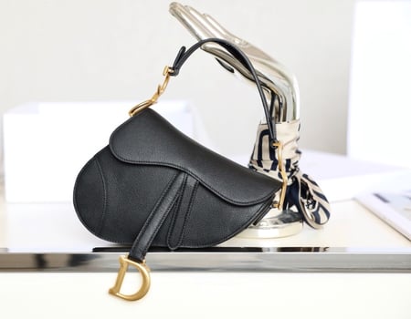 Dior saddle