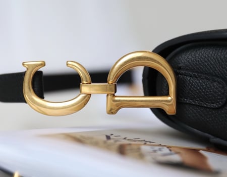Dior saddle