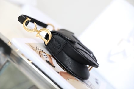Dior saddle