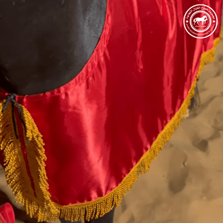 جلال زينه للخيل