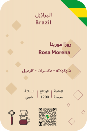 بالم قهوة مختصة - البرازيل روزا مورينا