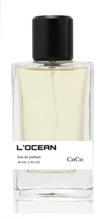 كوكو - CoCo