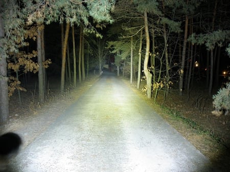 كشاف سوفيرن, أفضل الكشافات اليدوية الأصلية