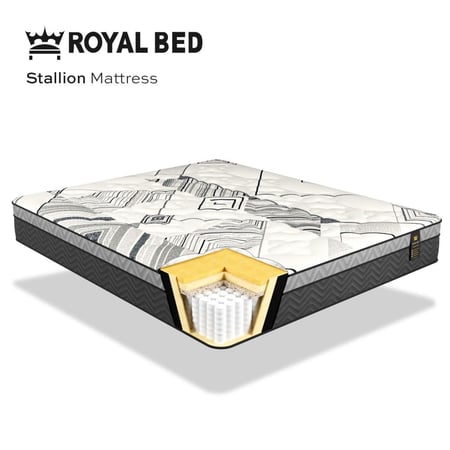 بكج العيد - بكج مرتبة ستاليون