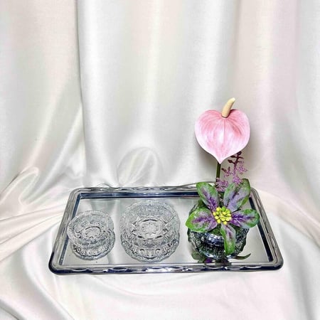 طقم صحون فصم 6 حبات