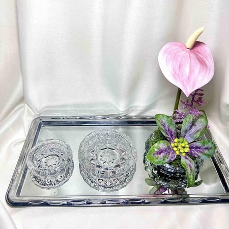 طقم صحون فصم 6 حبات